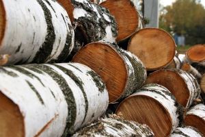 доставка дров в Челябинске